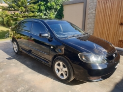 Car Toyota Corolla 2023 Manshera