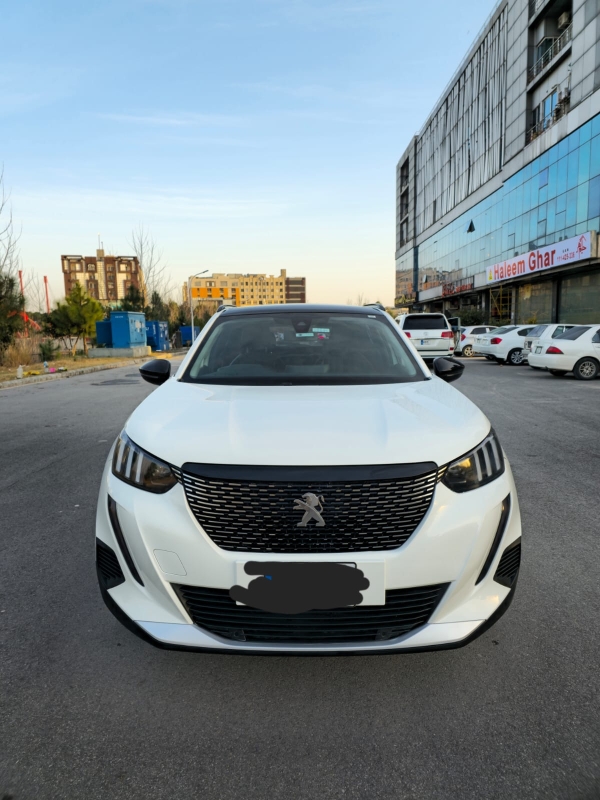 Other Peugeot 2022