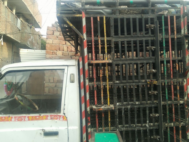 Suzuki Ravi 2010